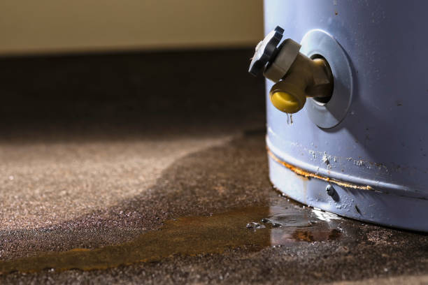 Trusted White Sulphur Springs, WV Water damage restoration Experts