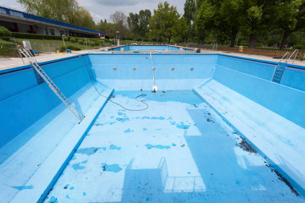 Best Water damage contractors near me  in White Sulphur Springs, WV