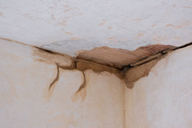 Best Ceiling water damage repair  in White Sulphur Springs, WV