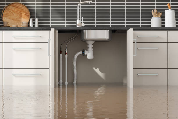 Best Flood restoration services  in White Sulphur Springs, WV