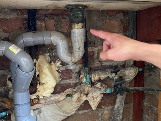  White Sulphur Springs, WV Water damage restoration Pros