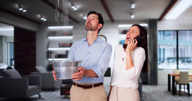 Best Mold removal after water damage  in White Sulphur Springs, WV